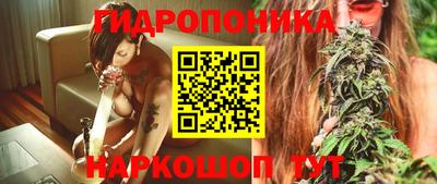 мяу мяу мука Пушкино