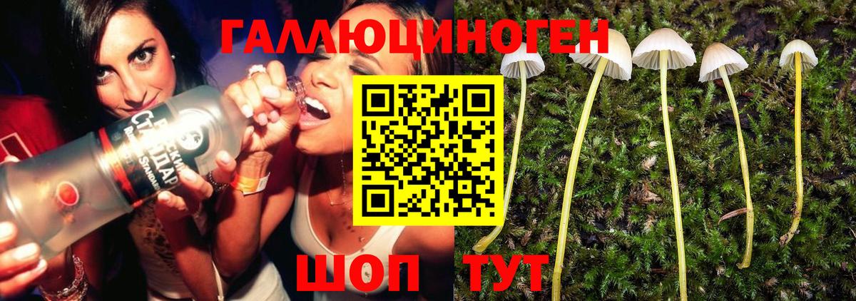 Петровск  Галлюциногенные грибы мицелий  Псилоцибиновые грибы MAGIC MUSHROOMS  Вход с VPN 