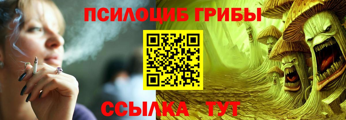 Псилоцибиновые грибы Cubensis Петровск